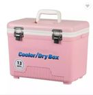 Custom 30L Plastic Camping Use Cooler Box Transport Cooler Insulated Portable Ice Chest Coolers For Injection Molding